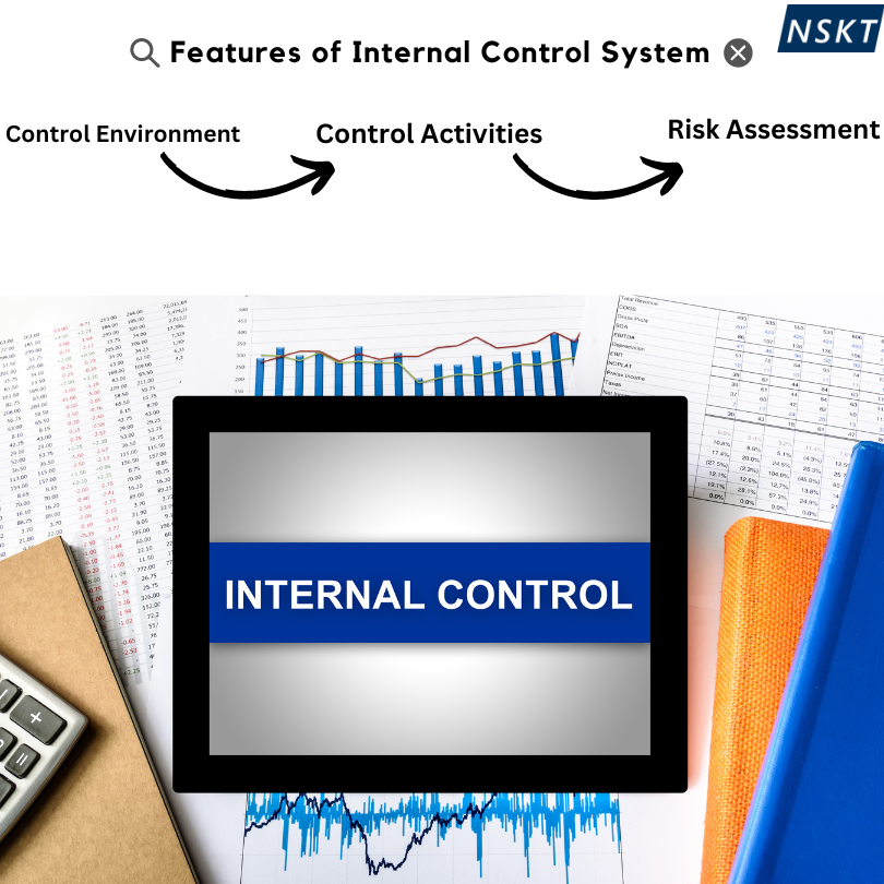 Why internal controls for your business success